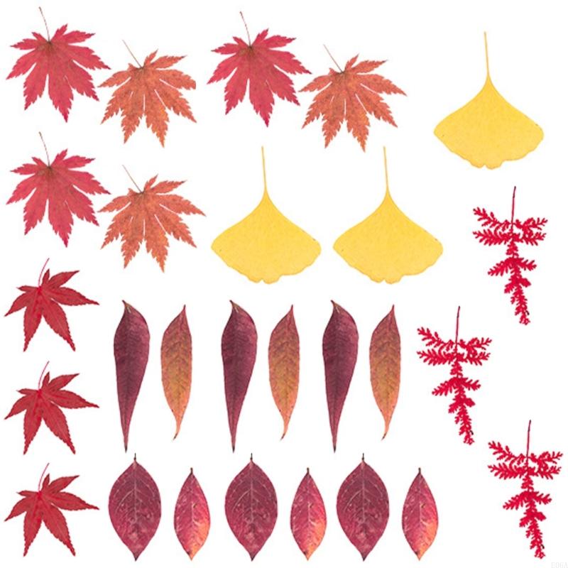 Hoa ép khô làm khuôn nhựa dùng - đánh giá và giá Resin Craft Ideas