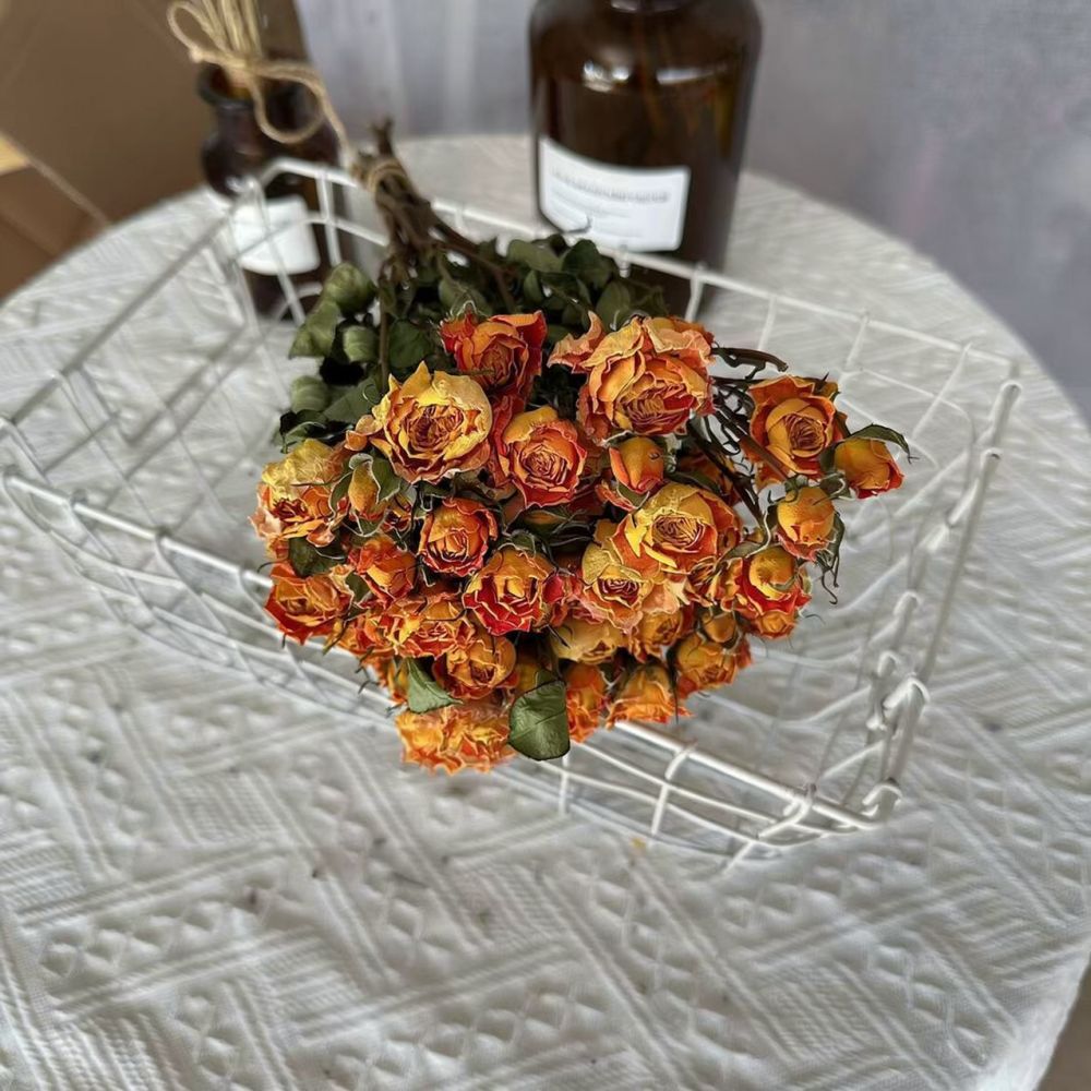 Real Preserved Roses Dried Flo - đánh giá và giá Resin Craft Ideas