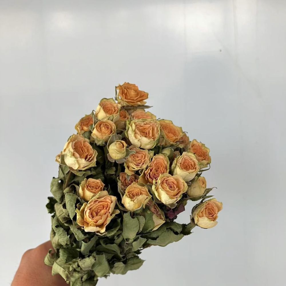 Real Preserved Roses Dried Flo - đánh giá và giá Resin Craft Ideas