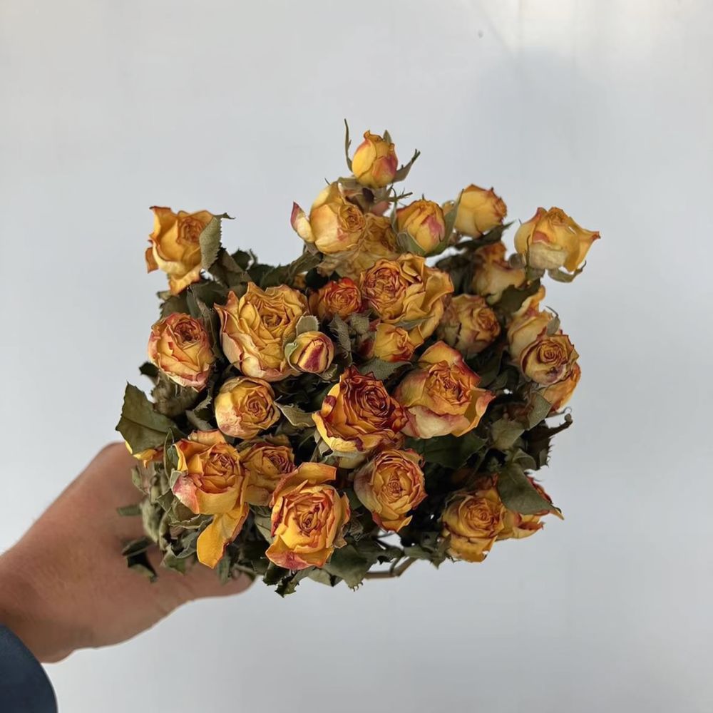 Real Preserved Roses Dried Flo - đánh giá và giá Resin Craft Ideas